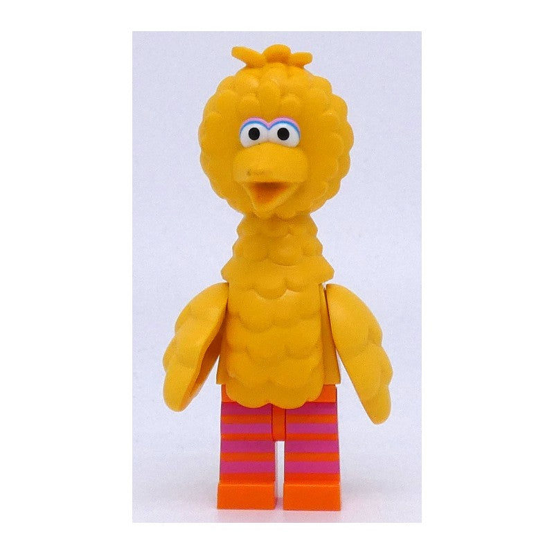 Big Bird Main image