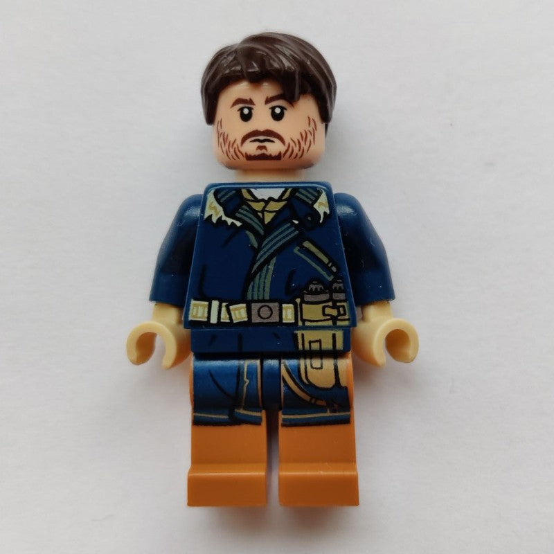 Cassian Andor in Dark Blue Outfit Main image