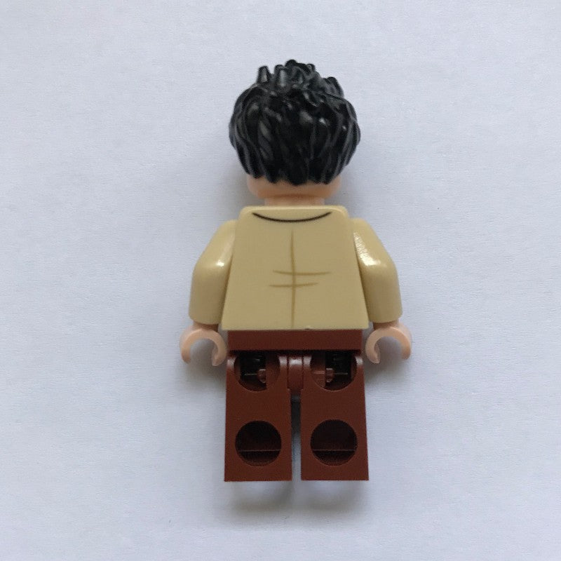 Ross Geller